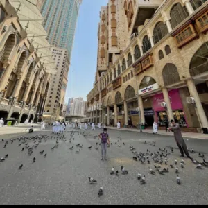 ليث عيسي