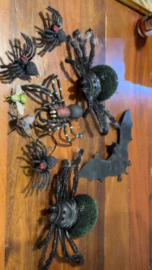 Spider figures