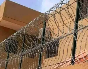 اسلاك شائكة