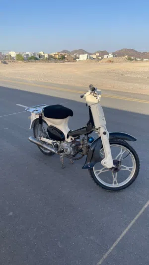 دراج 50 سيسي أمور فوق طيبه