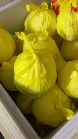 للبيع زبده طازجه 2 كيلو