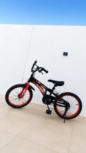 Kids Bicycle age up to 12 years