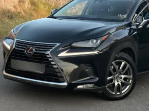 لكسزز NX300