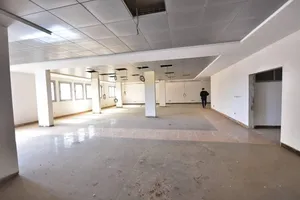 2056 m2 . Agent2
