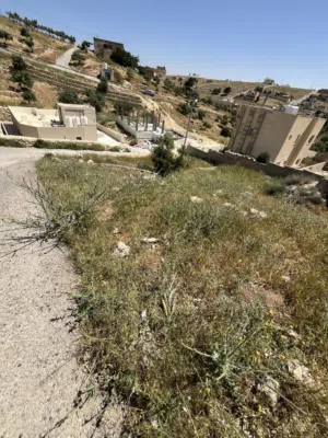 Residential Land for Sale in Amman Shafa Badran