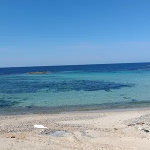 ابن ال التركي 