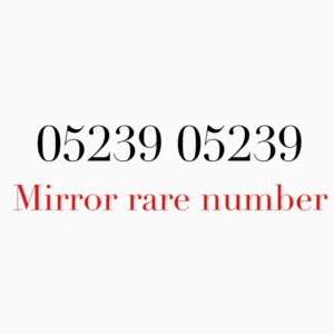 Mirror number