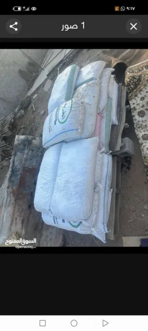 تمر نفيعه للبيع