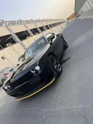 Used Dodge Challenger in Um Al Quwain