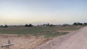 ارض زراعيه