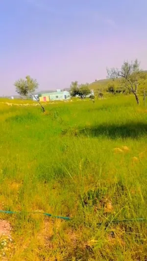 ارض للبيع نادره ام ابطيمه الغربي 4 دنم