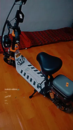 سوكتر الفين 2025