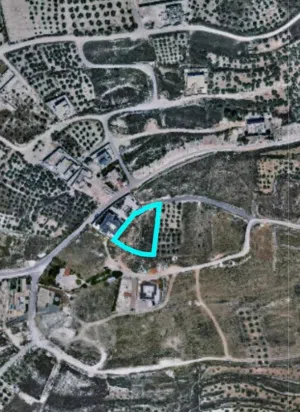 ارض 1700م2. بالعامريه. كوشان طابو بسعر مغري مطله وكاشفه