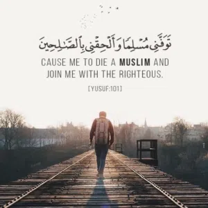 عبد التواب