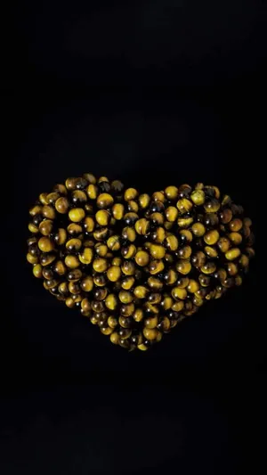 ‏أخرى ‏.‏ شنط يد ‏.‏ بني ‏.‏ جديد‏0