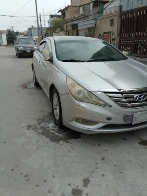 سجاد ايهاب عبد الخضر 