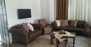 Living Room Furniture . Used0