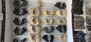انواع بيادات ماركة للبيع تخفيض