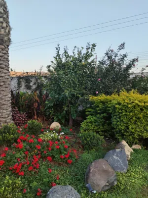 More than 6 bedrooms Farms for Sale in Jerash Tal Al-Rumman