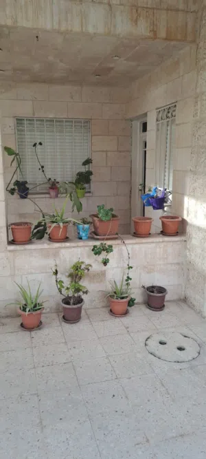 184 m2 3 Bedrooms Apartments for Sale in Irbid Al Hay Al Sharqy