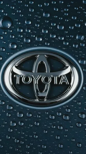 ابراهيم مغنم