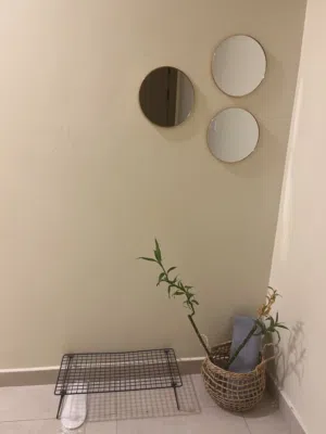 طقم مدخل انيق للبيع