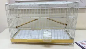 قفص كناري - canary cage