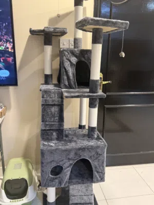 Cat condo ( House)