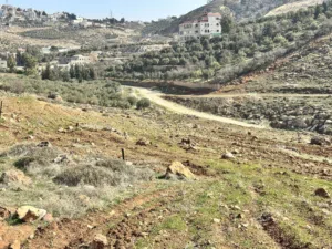 Residential Land for Sale in Amman Bahath
