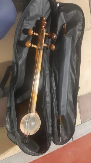 A collection of old musical instruments for sale at a very cheap price