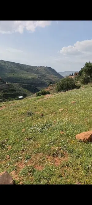 فرصه استثماريه ارض في الصبيحي 3400 متر