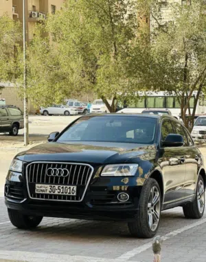 Audi Q5 (2015)