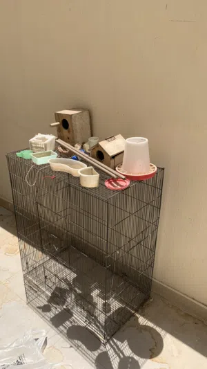 Large metal bird/parrot cage with multiple feeders and accessories