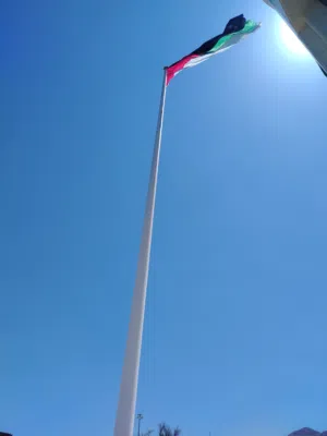 أحمد 