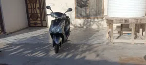 سكنس صيني للبيع