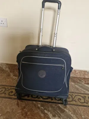 Kipling bag