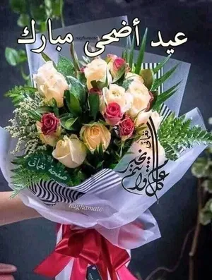 Samsung Galaxy A14 64 GB Silver