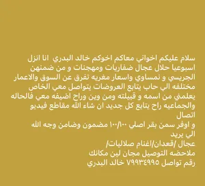 ‏أبقار‏2