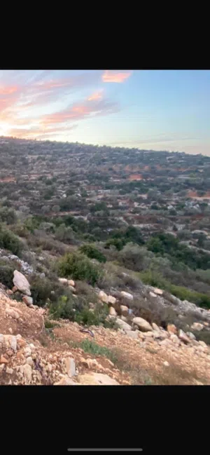 قطعة ارض للبيع