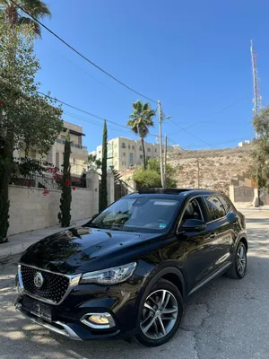 MG-EHS [بنزين وكهرباء بلج ان]