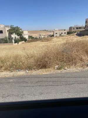 Residential Land for Sale in Amman Abu Alanda