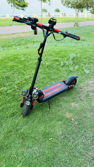 Scooter/e-bike