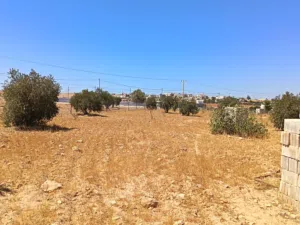 Farm Land for Sale in Mafraq Znaya
