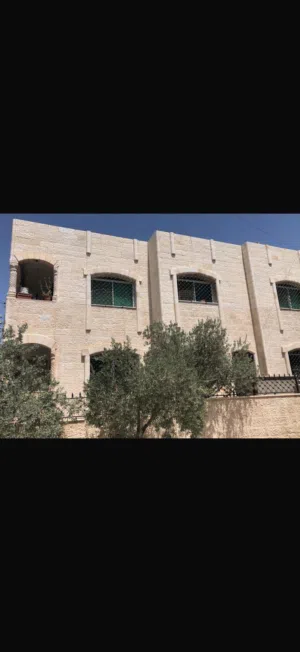 3 Floors . 1230 m2 . Landlord2