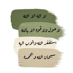 sall 
