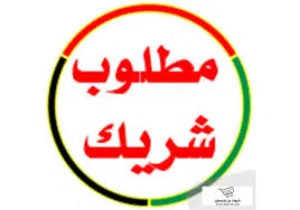 مطلوب شريك ممول 15000الف درهم