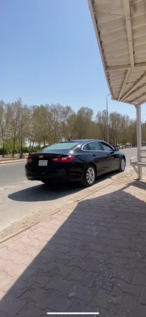 ماليبو 2023