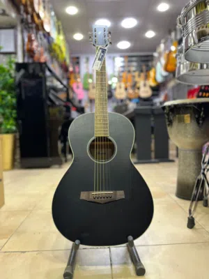 Ibanez PN14MHE WK acoustic guitar