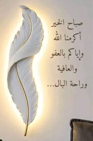 بهاء القضاة 