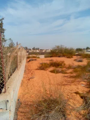 Residential Land for Sale in Tripoli Wadi Al-Rabi
